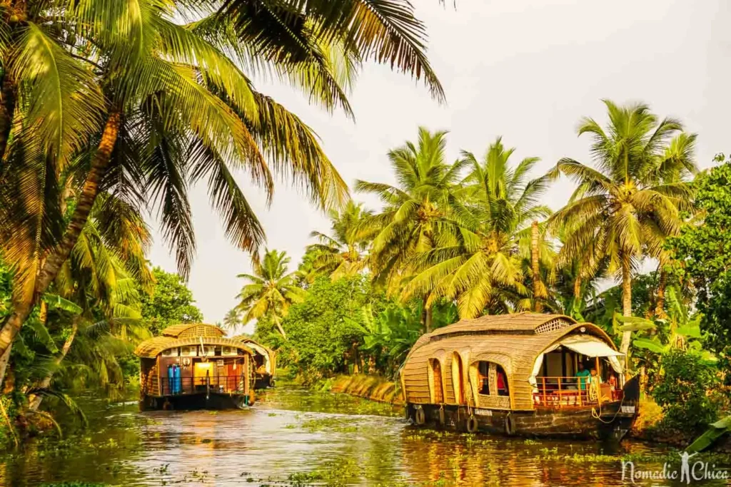 Mist-covered tea gardens, quiet backwaters lined with coconut trees, forests filled with wildlife and cliffs overlooking the Arabian Sea—Kerala packs an incredible variety of landscapes into one state. In a single trip, you can wake up among Munnar’s hills, cruise through Alleppey’s backwaters, explore the forests of Thekkady and end the journey watching the sunset from Varkala’s famous cliffs. The best part? You do not need weeks to experience it. A well-planned 7-8 day Kerala trip can start at around ₹20,000-30,000 per person, while a more comfortable mid-range trip can cost ₹40,000-65,000 per person, excluding flights. October to March offers pleasant weather, while the monsoon months can bring lower prices and some of Kerala’s most dramatic greenery. Munnar: Where the Journey Begins The journey can begin in Munnar, around 3.5-4 hours by road from Kochi airport. The hill station is surrounded by vast tea estates, misty mountains and cool weather. Two days are enough to explore major attractions such as Eravikulam National Park, Mattupetty Dam, Kundala Lake, Top Station, Echo Point and the Tea Museum. Eravikulam National Park is also known for the endangered Nilgiri Tahr. Budget homestays and guesthouses generally cost around ₹1,500-2,500 per night, while mid-range hotels can cost ₹3,500-6,000. Thekkady: From Tea Gardens to the Wild Around 110 km from Munnar, Thekkady changes the scenery completely. The destination is known for the Periyar landscape, wildlife and spice plantations. A Periyar Lake boat safari offers an opportunity to spot wildlife around the forested shores. Travellers can also visit spice plantations to see crops such as cardamom, black pepper and vanilla. Trekking and bamboo rafting are available for adventure seekers. Accommodation generally falls between ₹1,500-4,000 per night, while adventure activities can add ₹1,000-2,000 per person. Alleppey: The Kerala You See From a Houseboat After the hills and forests comes one of Kerala’s most famous experiences—Alappuzha, or Alleppey. Here, the landscape opens into a network of waterways surrounded by coconut palms, villages and traditional homes. An overnight houseboat cruise on Vembanad Lake allows travellers to experience this landscape from the water. For two people, a deluxe overnight houseboat can cost around ₹9,000-12,000. Premium options range from ₹13,000-18,000, while luxury houseboats can reach ₹19,000-30,000 or more. Alappuzha Beach and its lighthouse can also be added to the itinerary. Travellers visiting in August can consider the Nehru Trophy Boat Race, although demand around the event can push accommodation prices higher. Kochi: Where Kerala’s History Comes Alive Nature takes a back seat in Fort Kochi, where colonial architecture, old churches and historic trading districts reveal another side of Kerala. The Chinese fishing nets, St. Francis Church, Mattancherry Palace and Jew Town are among the key places to explore. An evening Kathakali performance can add a traditional cultural experience, with tickets generally costing around ₹300-500. Varkala or Kovalam: End the Trip by the Sea The final 1-2 days can be spent at Varkala or Kovalam. Varkala is known for its dramatic cliffs overlooking the Arabian Sea and Papanasam Beach. Kovalam is popular for its beaches and lighthouse. Accommodation in both destinations can be found in the ₹1,500-4,000 per night range. Travellers looking for a wellness experience can also opt for an Ayurvedic massage, which may cost around ₹1,000-2,500. Have Two Extra Days? Add Wayanad For travellers who prefer forests and trekking, Wayanad is worth adding to a longer itinerary. The main attractions include Edakkal Caves, Chembra Peak, Banasura Sagar Dam and Wayanad Wildlife Sanctuary. The road journey from Kochi can take around 6-7 hours, so Wayanad is better suited to trips of eight days or more. How Much Does a Kerala Trip Really Cost? A budget trip using public buses, shared cabs and affordable accommodation can be planned for around ₹20,000-30,000 per person. Better hotels, private transportation, a houseboat stay and additional activities can push the budget to ₹40,000-65,000 per person. A private car with a driver can cost approximately ₹25,000-35,000 for 7-8 days, with the expense becoming more manageable when shared between travellers. For a first Kerala trip, the most practical route is Kochi → Munnar → Thekkady → Alleppey → Varkala/Kovalam. Add Wayanad if you have extra time. Book hotels and houseboats early during the peak season, while monsoon travellers can look for lower rates and experience Kerala at its greenest.