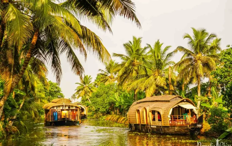 Mist-covered tea gardens, quiet backwaters lined with coconut trees, forests filled with wildlife and cliffs overlooking the Arabian Sea—Kerala packs an incredible variety of landscapes into one state. In a single trip, you can wake up among Munnar’s hills, cruise through Alleppey’s backwaters, explore the forests of Thekkady and end the journey watching the sunset from Varkala’s famous cliffs. The best part? You do not need weeks to experience it. A well-planned 7-8 day Kerala trip can start at around ₹20,000-30,000 per person, while a more comfortable mid-range trip can cost ₹40,000-65,000 per person, excluding flights. October to March offers pleasant weather, while the monsoon months can bring lower prices and some of Kerala’s most dramatic greenery. Munnar: Where the Journey Begins The journey can begin in Munnar, around 3.5-4 hours by road from Kochi airport. The hill station is surrounded by vast tea estates, misty mountains and cool weather. Two days are enough to explore major attractions such as Eravikulam National Park, Mattupetty Dam, Kundala Lake, Top Station, Echo Point and the Tea Museum. Eravikulam National Park is also known for the endangered Nilgiri Tahr. Budget homestays and guesthouses generally cost around ₹1,500-2,500 per night, while mid-range hotels can cost ₹3,500-6,000. Thekkady: From Tea Gardens to the Wild Around 110 km from Munnar, Thekkady changes the scenery completely. The destination is known for the Periyar landscape, wildlife and spice plantations. A Periyar Lake boat safari offers an opportunity to spot wildlife around the forested shores. Travellers can also visit spice plantations to see crops such as cardamom, black pepper and vanilla. Trekking and bamboo rafting are available for adventure seekers. Accommodation generally falls between ₹1,500-4,000 per night, while adventure activities can add ₹1,000-2,000 per person. Alleppey: The Kerala You See From a Houseboat After the hills and forests comes one of Kerala’s most famous experiences—Alappuzha, or Alleppey. Here, the landscape opens into a network of waterways surrounded by coconut palms, villages and traditional homes. An overnight houseboat cruise on Vembanad Lake allows travellers to experience this landscape from the water. For two people, a deluxe overnight houseboat can cost around ₹9,000-12,000. Premium options range from ₹13,000-18,000, while luxury houseboats can reach ₹19,000-30,000 or more. Alappuzha Beach and its lighthouse can also be added to the itinerary. Travellers visiting in August can consider the Nehru Trophy Boat Race, although demand around the event can push accommodation prices higher. Kochi: Where Kerala’s History Comes Alive Nature takes a back seat in Fort Kochi, where colonial architecture, old churches and historic trading districts reveal another side of Kerala. The Chinese fishing nets, St. Francis Church, Mattancherry Palace and Jew Town are among the key places to explore. An evening Kathakali performance can add a traditional cultural experience, with tickets generally costing around ₹300-500. Varkala or Kovalam: End the Trip by the Sea The final 1-2 days can be spent at Varkala or Kovalam. Varkala is known for its dramatic cliffs overlooking the Arabian Sea and Papanasam Beach. Kovalam is popular for its beaches and lighthouse. Accommodation in both destinations can be found in the ₹1,500-4,000 per night range. Travellers looking for a wellness experience can also opt for an Ayurvedic massage, which may cost around ₹1,000-2,500. Have Two Extra Days? Add Wayanad For travellers who prefer forests and trekking, Wayanad is worth adding to a longer itinerary. The main attractions include Edakkal Caves, Chembra Peak, Banasura Sagar Dam and Wayanad Wildlife Sanctuary. The road journey from Kochi can take around 6-7 hours, so Wayanad is better suited to trips of eight days or more. How Much Does a Kerala Trip Really Cost? A budget trip using public buses, shared cabs and affordable accommodation can be planned for around ₹20,000-30,000 per person. Better hotels, private transportation, a houseboat stay and additional activities can push the budget to ₹40,000-65,000 per person. A private car with a driver can cost approximately ₹25,000-35,000 for 7-8 days, with the expense becoming more manageable when shared between travellers. For a first Kerala trip, the most practical route is Kochi → Munnar → Thekkady → Alleppey → Varkala/Kovalam. Add Wayanad if you have extra time. Book hotels and houseboats early during the peak season, while monsoon travellers can look for lower rates and experience Kerala at its greenest.